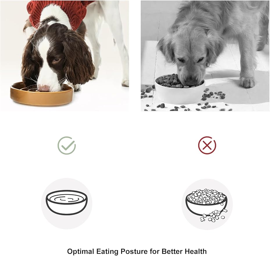 Ceramic Maze Dog Slow Feeder with Non-Slip Silicone Rim – Heavy-Duty Stoneware Bowl with Puzzle Pattern for Bloating & Obesity Prevention (Green-S)