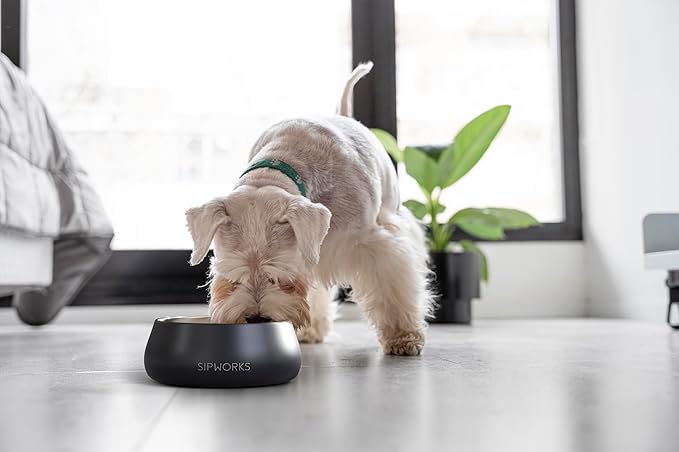 Sipworks Stainless Steel Dog Bowl – 32oz Weighted Metal Food and Water Bowls for Dogs and Cats with Non-Slip Base - Pet Bowls for All Breeds Sizes for Travel & Outdoor Play | Buttercream