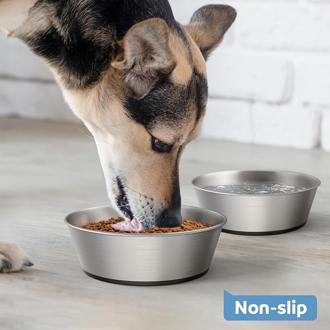 304 Stainless Steel Dog Bowls Set of 2, Anti Rust Metal & Non Slip Rubber Base, Heavy Duty Large Feeding Dishes, Food Grade BPA Free, Food and Water Bowl for Medium Dogs (48oz, 6cup)