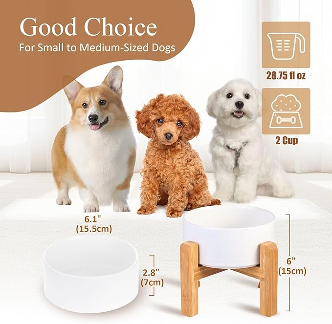 Ceramic Elevated Raised Cat Bowl with Wood Stand No Spill Pet Food Water Feeder Cats Small Dogs