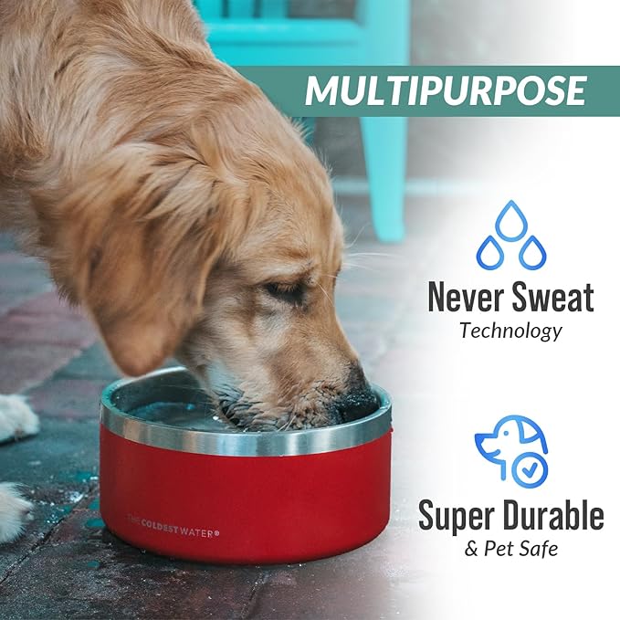 Coldest Dog Bowl - Anti Rust Metal, Non Slip, 3 Layers Insulated Stainless Steel Dog Bowls - Spill Proof & Heavy Duty - Water Bowl for Dogs, Cats & Pets, Dish Washer Safe (21 oz, Galaxy Purple)