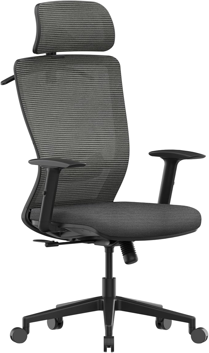 FLEXISPOT Ergonomic Office Chair, High Back Home Office Desk Chairs with Adjustable Lumbar Support, Armrests,90-130° Tilt Lock, Comfort Wide Cushion, Swivel Computer Gaming Chairs for Adults (Gray)