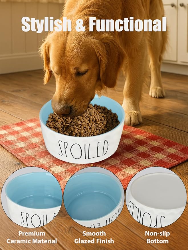27OZ Ceramic Dog Bowl - 6 Inch Small Food Water Bowl, Heavy Duty Non-Slip Dog Dish for Medium Dogs, Food Grade Porcelain Pet Feeder Bowls, Microwave & Dishwasher Safe, Blue
