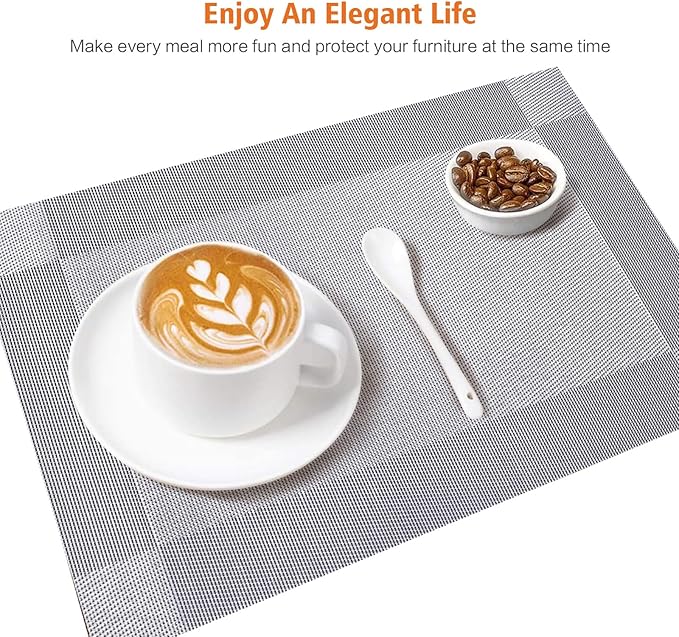 Placemats Set of 12,Washable,Heat and Stain Resistant Indoor/Outdoor Place mats,Vinyl Woven Non Slip Table Mats for Restaurant Table Protection,PVC Placemats(Silver,12PCS)