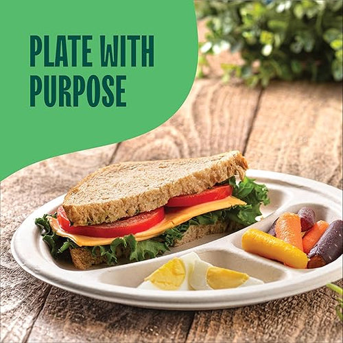 100% Compostable Paper Plates 9 Inch Bulk [500 Count] Heavy-Duty Dinner Plates with Compartments - Natural Brown Color Bagasse - Eco-Friendly Disposable Biodegradable Sugarcane - [Case 4/125 Pack]