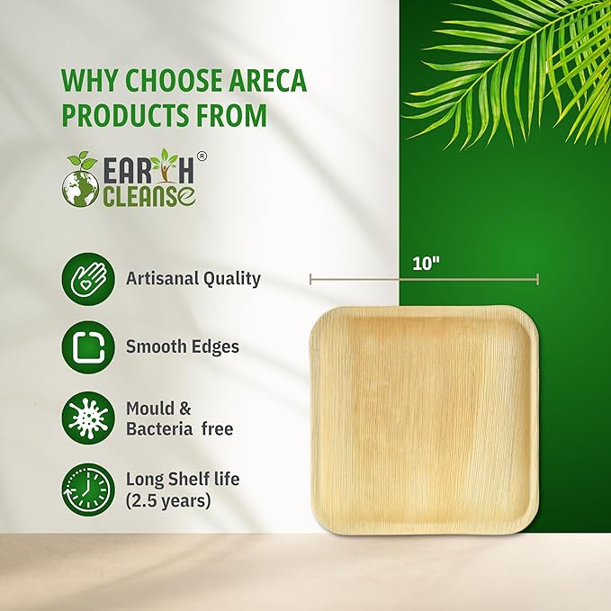 Palm Plates 10 Inch – Compostable Square Dinnerware (25 Count) | Like Bamboo Disposable Plates | Biodegradable, Eco-Friendly, Oven & Microwave Safe | USDA 100% Biobased