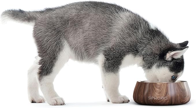 Sipworks Stainless Steel Dog Bowl – 32oz Weighted Metal Food and Water Bowls for Dogs and Cats with Non-Slip Base - Pet Bowls for All Breeds Sizes for Travel & Outdoor Play | Flamingo