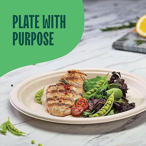 100% Compostable Paper Plates 10 Inch Bulk [500 Count] Heavy-Duty Dinner Plates - Natural Brown Color Unbleached Bagasse - Eco-Friendly Disposable Biodegradable Sugarcane Plates - [Case 4/125 Pack]