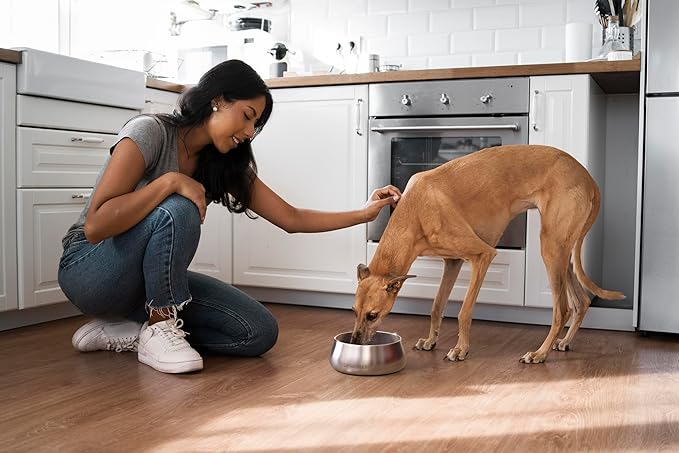 Sipworks Stainless Steel Dog Bowl – 32oz Weighted Metal Food and Water Bowls for Dogs and Cats with Non-Slip Base - Pet Bowls for All Breeds Sizes for Travel & Outdoor Play | Burnt Orange