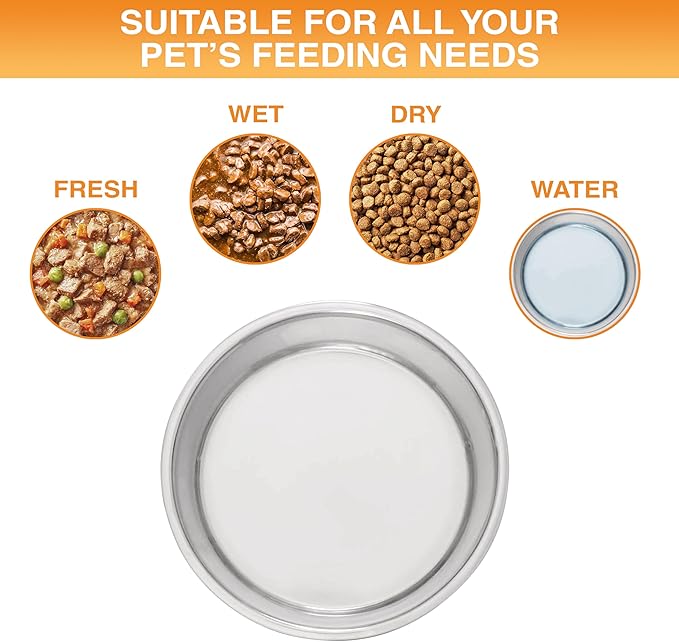 Neater Pet Brands Stainless Steel Dog Bowls with Non-Slip Rubber Bottom – 2 Cup (16 oz), Teal - Set of 2 Heavy Duty Metal Dog Bowls, Dishwasher Safe, Food or Water Bowl, Ideal for Small Dogs & Cats