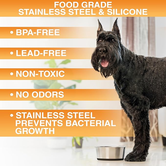 Neater Pet Brands Stainless Steel Dog Bowls with Non-Slip Rubber Bottom – Set of 2, 6 Cup (48 oz), Black - Heavy Duty Metal Dog Bowl, Dishwasher Safe, Food or Water Bowl, Ideal for Large Dogs