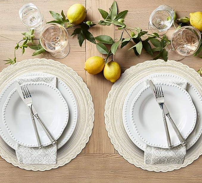 SHACOS 15 inch Round Braided Placemats Set of 12 for Dining Table Woven Boho Place Mats Kitchen Placemat Washable Table Mats, Ivory Bordered