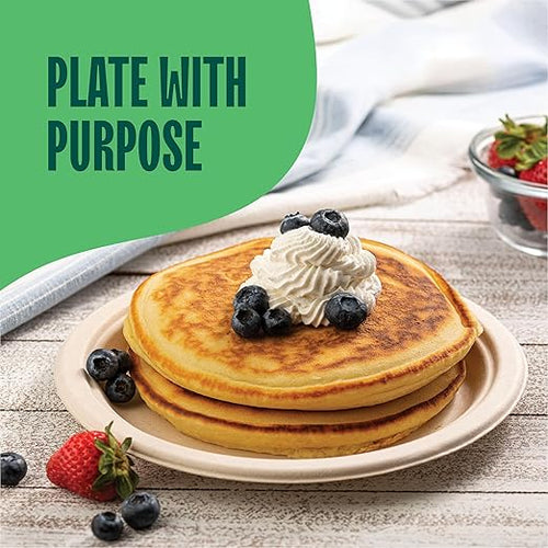 100% Compostable Paper Plates 9 Inch [500 Count] Heavy-Duty Dinner Plates - Natural Brown Color Unbleached Bagasse - Eco-Friendly Disposable Biodegradable Sugarcane Plates - [Bulk Case 4 x 125 Pack]