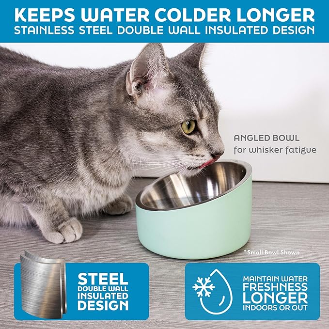 Master Pet Supply Stainless Steel Slanted Dog Cat Food Bowl - 8 oz Heavy Duty - Aqua Sky, Double Wall Insulated, Non-Slip Elevated Bowl for French Bulldogs Pugs Cats, Anti Rust Dishwasher Safe