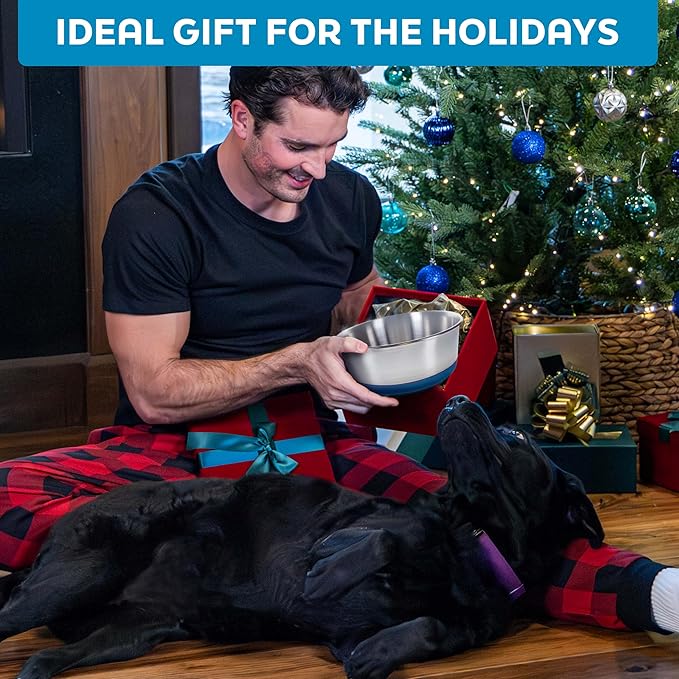 Master Pet Supply Stainless Steel Dog Bowls Set of 2 with Extra Thick Silicone Base - 8 Cup (64 oz) Crimson Red, Non-Slip, Dishwasher Safe Metal Bowls, Pet Dog Food Bowl for Dogs, Cats, Anti Rust